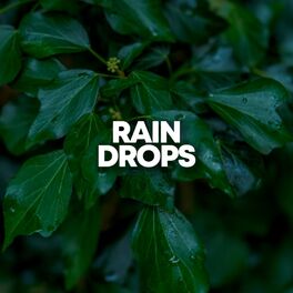 Album cover of Rain Drops