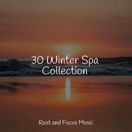 Album cover of 30 Winter Spa Collection