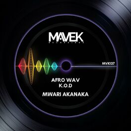 Album cover of Mwari Akanaka