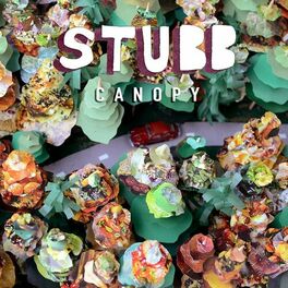 Album cover of Canopy