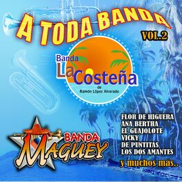 Album cover of A Toda Banda Vol. 2
