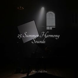 Album cover of 25 Summer Harmony Sounds