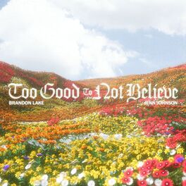 Album cover of Too Good To Not Believe (Radio Version)