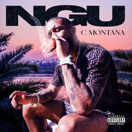 Album cover of N.G.U