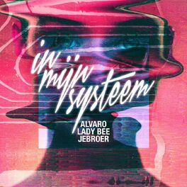 Album cover of In Mijn Systeem (feat. Jebroer)