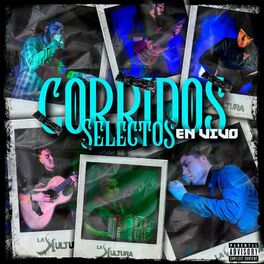 Album cover of Corridos Selectos