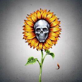 Album cover of Black Sunflower