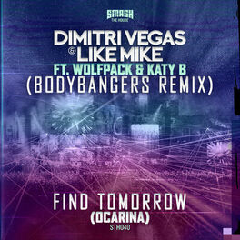 Album cover of Find Tomorrow (Ocarina) (Bodybangers Remix)