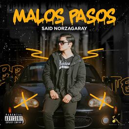 Album cover of Malos Pasos