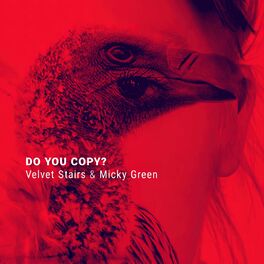 Album cover of Do You Copy?