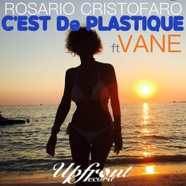 Album cover of C'est de plastique