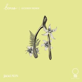 Album cover of Bones (Viceroy Remix)