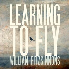 Album picture of Learning to Fly