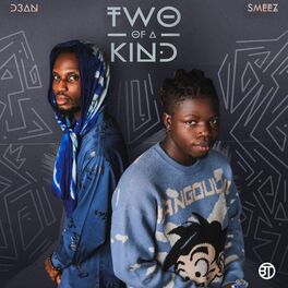 Album cover of TWO OF A KIND