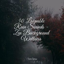 Album cover of 50 Loopable Rain Sounds for Sleep and Relaxation