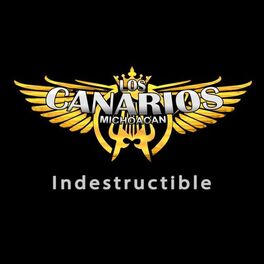 Album cover of Indestructible