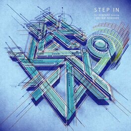 Album cover of Step In
