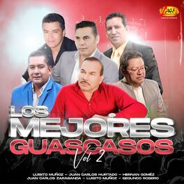 Album cover of Los Mejores Guascasos Vol.2