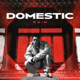 Album cover of DOMESTIC