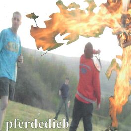 Album cover of Pferdedieb