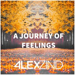 Album cover of A Journey Of Feelings