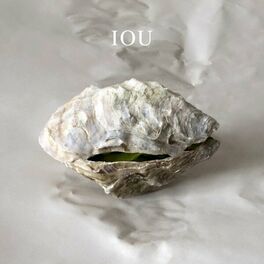 Album cover of I O U