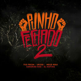 Album cover of Punho Fechado 2