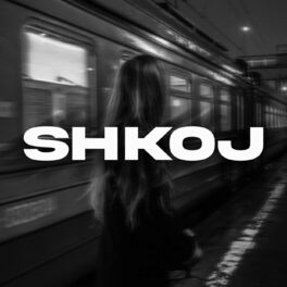 Album cover of Shkoj