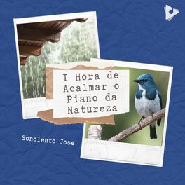 Album cover of 1 Hora de Acalmar o Piano da Natureza