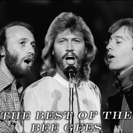 Album cover of Best of Bee Gees