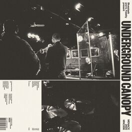 Album cover of Bluestaeb and S. Fidelity Present Underground Canopy