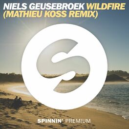 Album cover of Wildfire (Mathieu Koss Remix Edit)