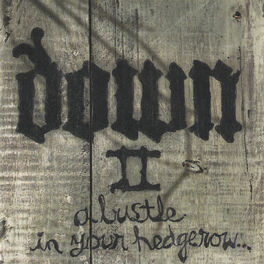 Album cover of Down II
