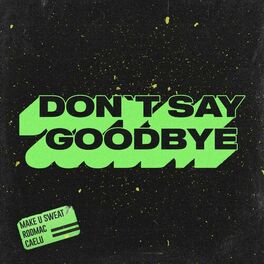 Album cover of Don't Say Goodbye