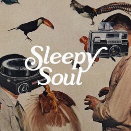Album cover of Sleepy Soul