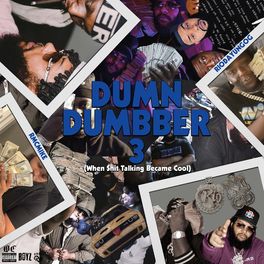 Album cover of Dum N Dumbber 3