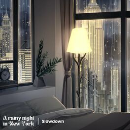 Album cover of A Rainy Night in New York