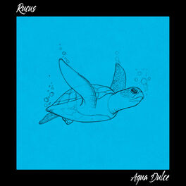 Album cover of Agua Dulce