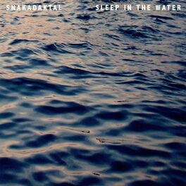 Album cover of Sleep In The Water