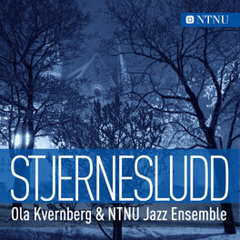 Album cover of Stjernesludd