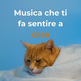 Album cover of Musica che ti fa sentire a casa