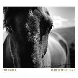 Album cover of At the Heart of It All