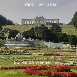 Album cover of Soiree de Vienne
