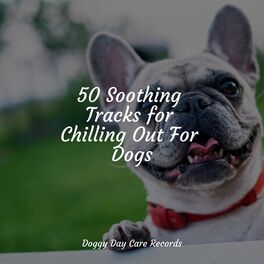 Album cover of 50 Soothing Tracks for Chilling Out For Dogs