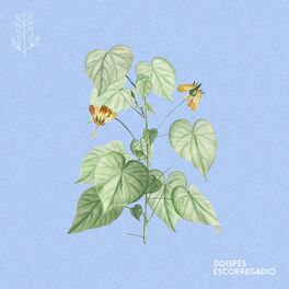 Album cover of escorregadio
