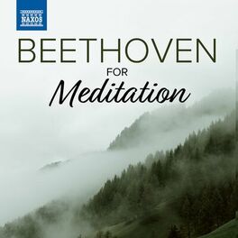 Album cover of Beethoven For Meditation