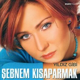 Album cover of Yıldız Gibi