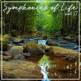 Album cover of Symphonies of Life, Vol. 57 - Carulli: Guitar Concertos