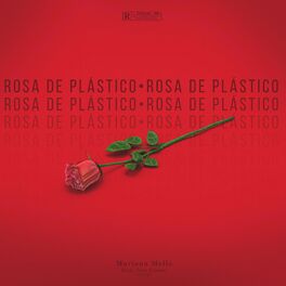 Album cover of Rosa de Plástico