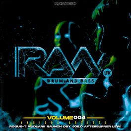 Album cover of RAW Va Vol 4